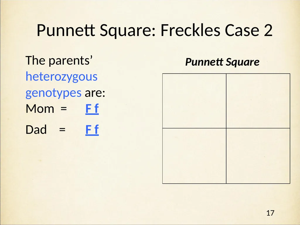 Genetics in Harry Potter’s World Lesson 1 - slide 17 of 29
