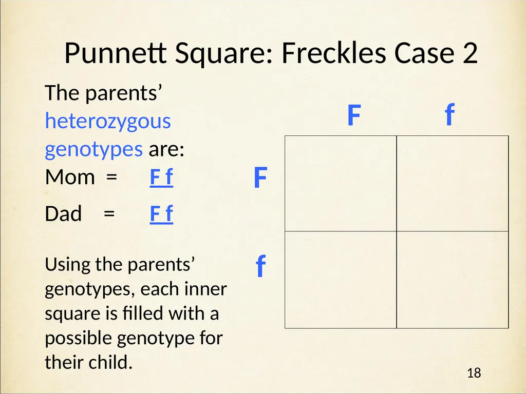 Genetics in Harry Potter’s World Lesson 1 - slide 18 of 29