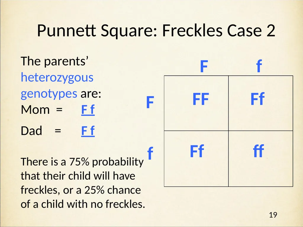 Genetics in Harry Potter’s World Lesson 1 - slide 19 of 29