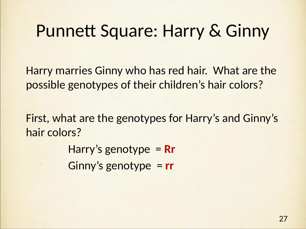 Genetics in Harry Potter’s World Lesson 1 - slide 27 of 29