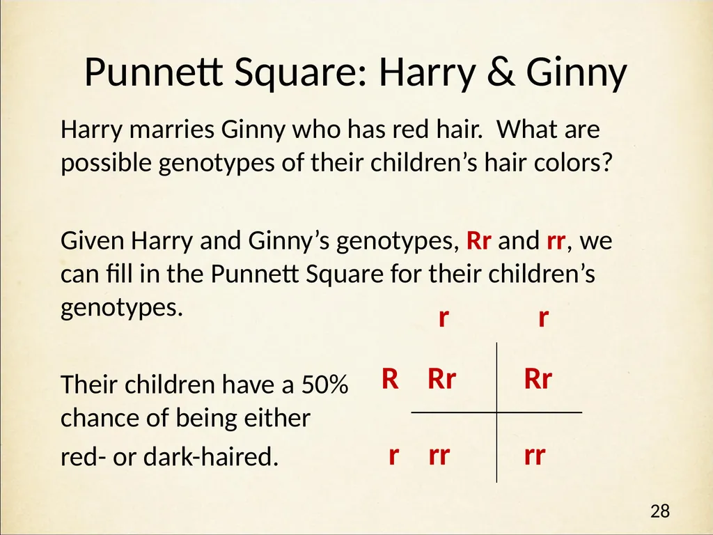 Genetics in Harry Potter’s World Lesson 1 - slide 28 of 29