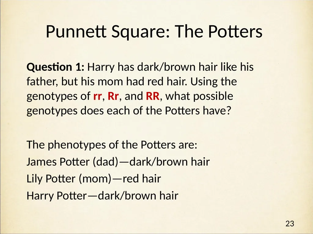 Genetics in Harry Potter’s World Lesson 1 - slide 23 of 29
