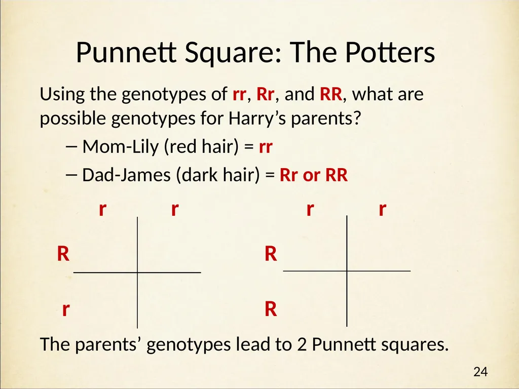 Genetics in Harry Potter’s World Lesson 1 - slide 24 of 29