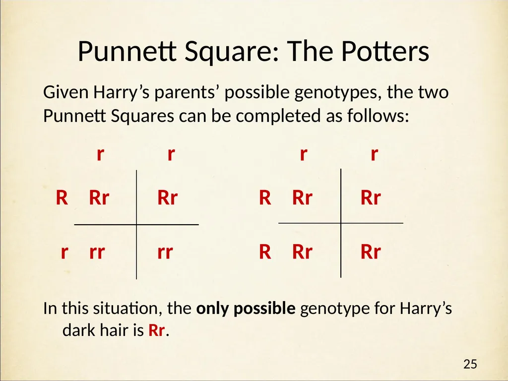 Genetics in Harry Potter’s World Lesson 1 - slide 25 of 29