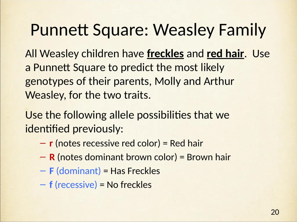 Genetics in Harry Potter’s World Lesson 1 - slide 20 of 29