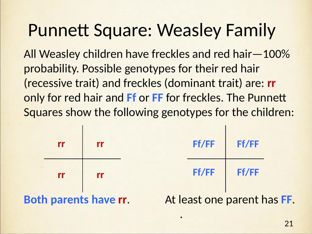 Genetics in Harry Potter’s World Lesson 1 - slide 21 of 29