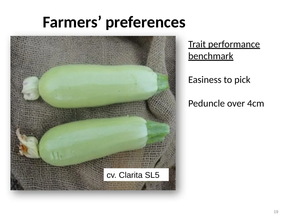 Chapter 4 New Variety Design and Product Profiling - slide 19 of 45