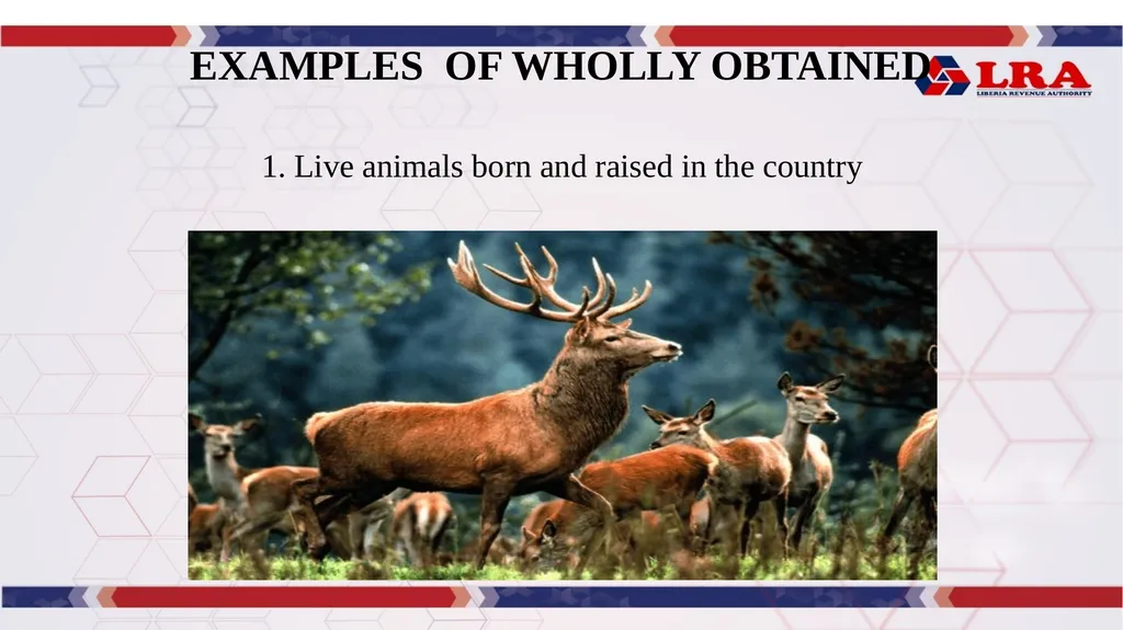 MODULE I: Presented By: LRA TRAINING TEAM Rules of - slide 26 of 67