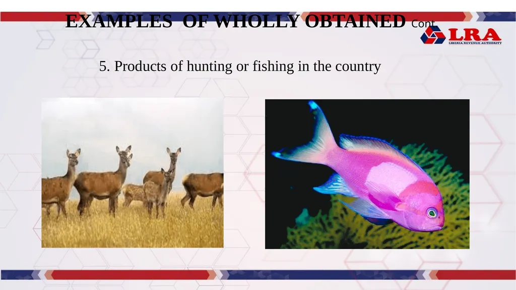 MODULE I: Presented By: LRA TRAINING TEAM Rules of - slide 30 of 67