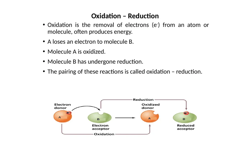Energy yielding reactions Dr. Abhishek Thakur - slide 2 of 21