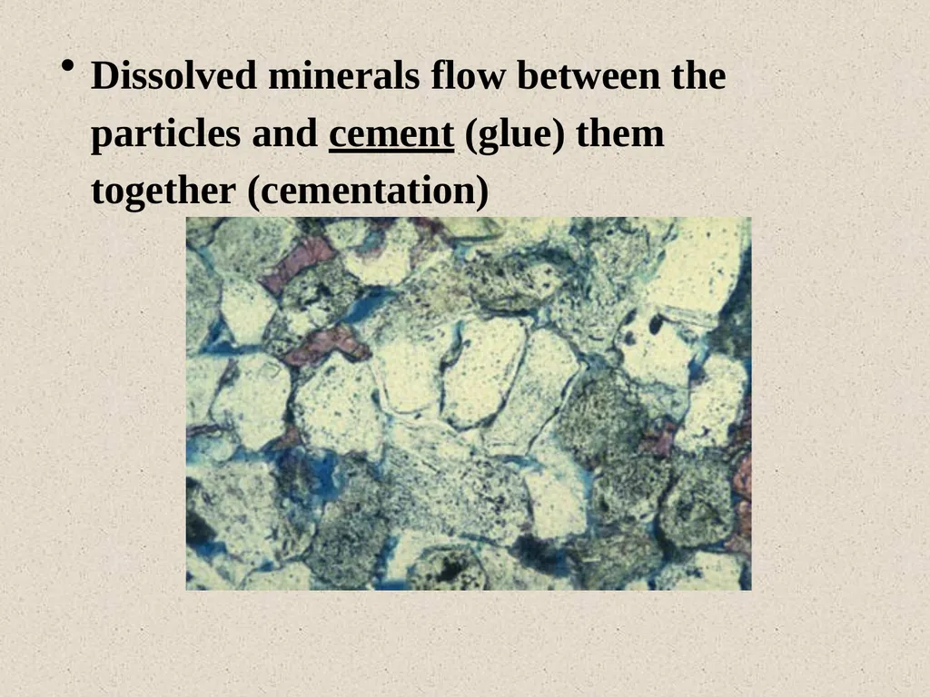 Dr.D.Y.patil College Of - slide 23 of 31