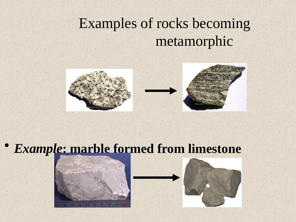 Dr.D.Y.patil College Of - slide 29 of 31