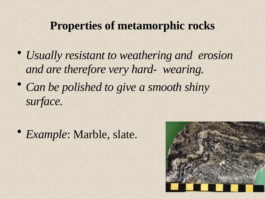 Dr.D.Y.patil College Of - slide 28 of 31