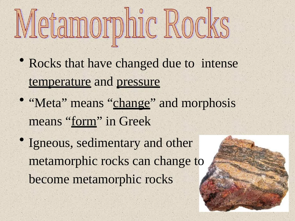 Dr.D.Y.patil College Of - slide 24 of 31