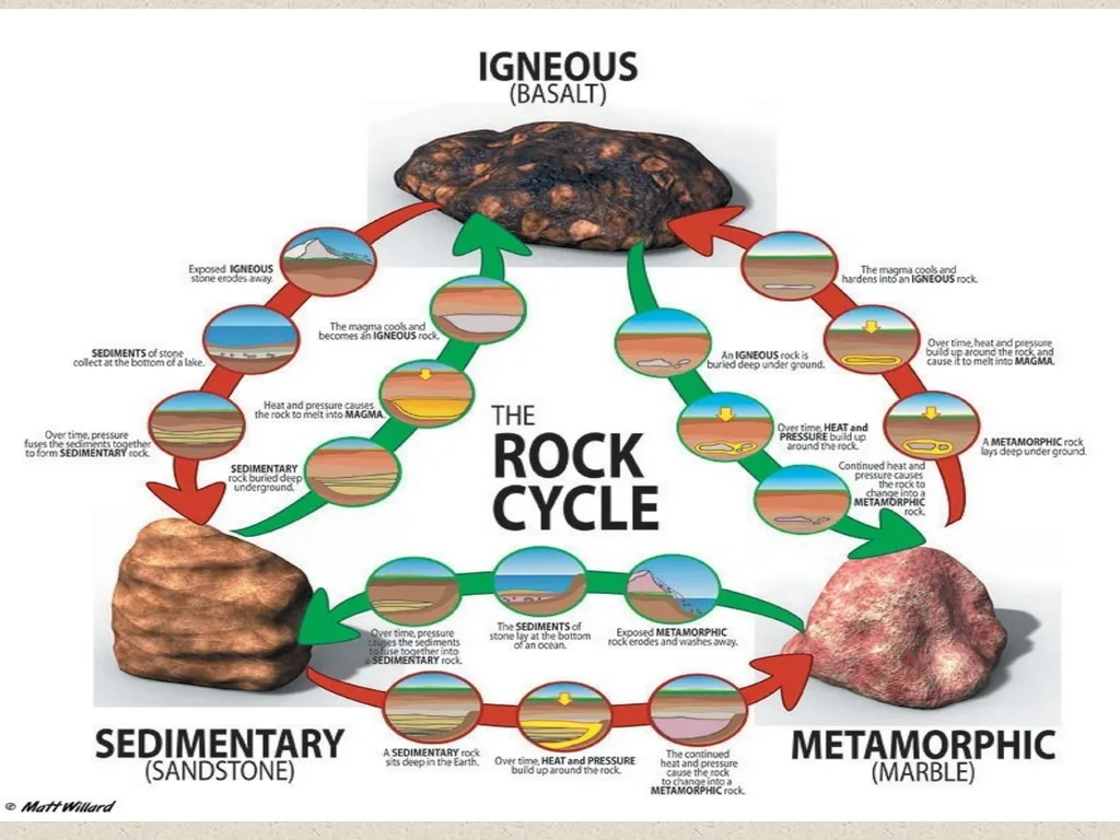 Dr.D.Y.patil College Of - slide 11 of 31
