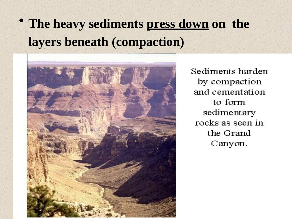 Dr.D.Y.patil College Of - slide 22 of 31