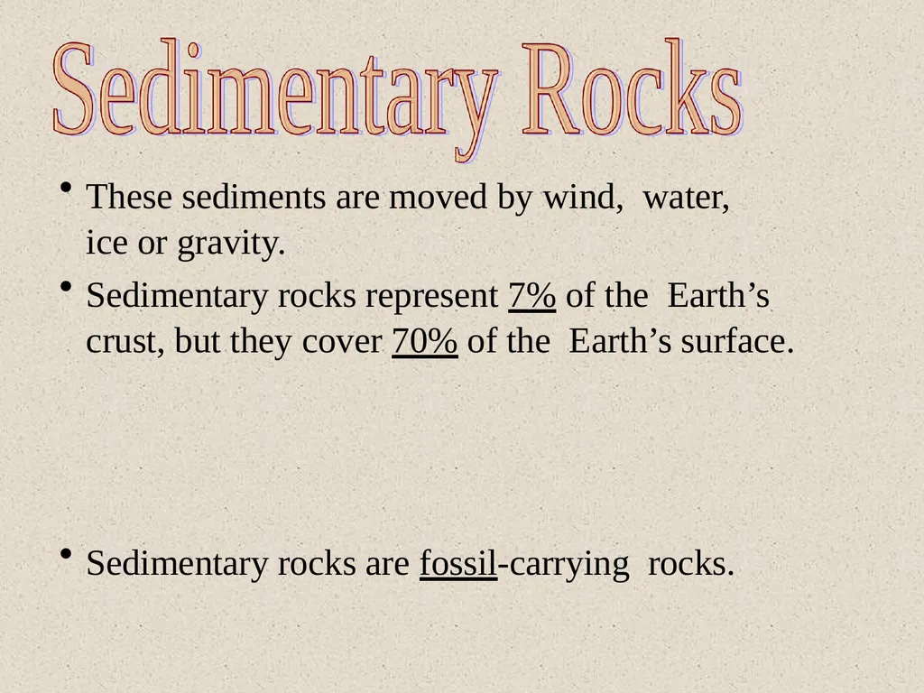 Dr.D.Y.patil College Of - slide 20 of 31