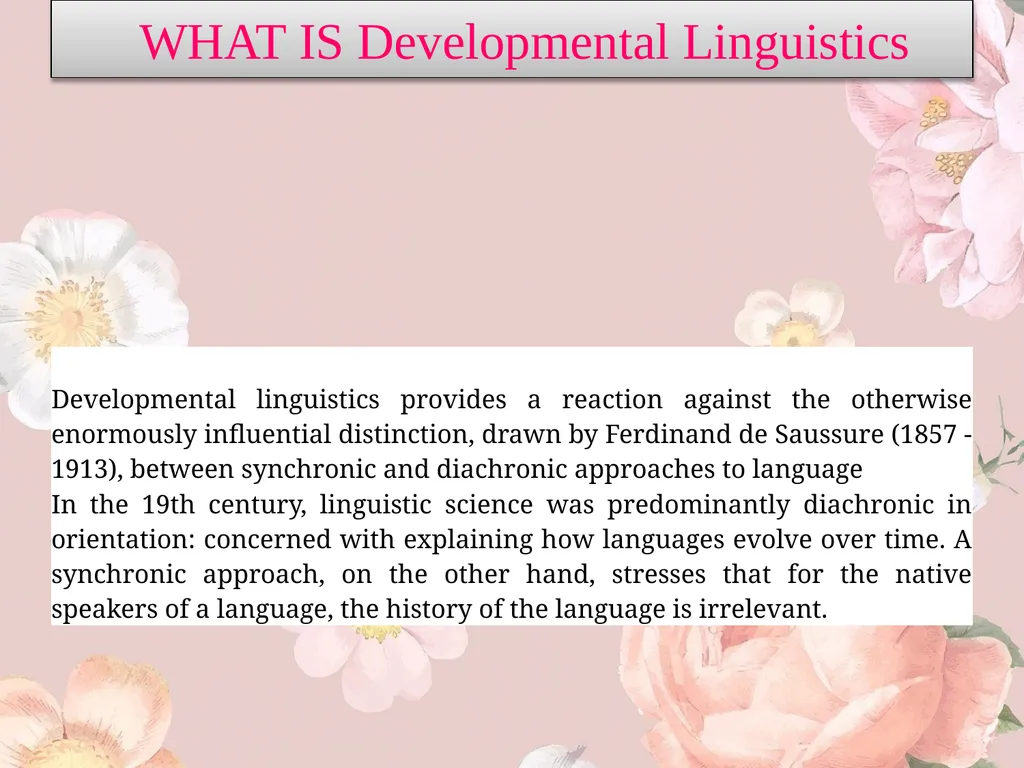 Developmental linguistics Supervised by Dr. - slide 2 of 7
