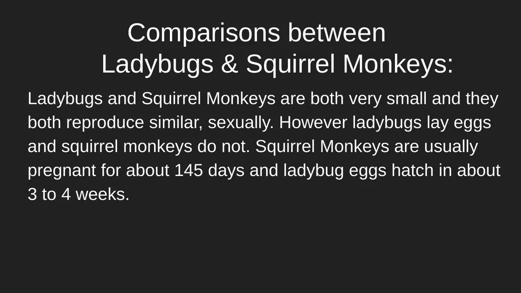 Ladybugs & Squirrel Monkeys Ladybug Description: A - slide 6 of 6