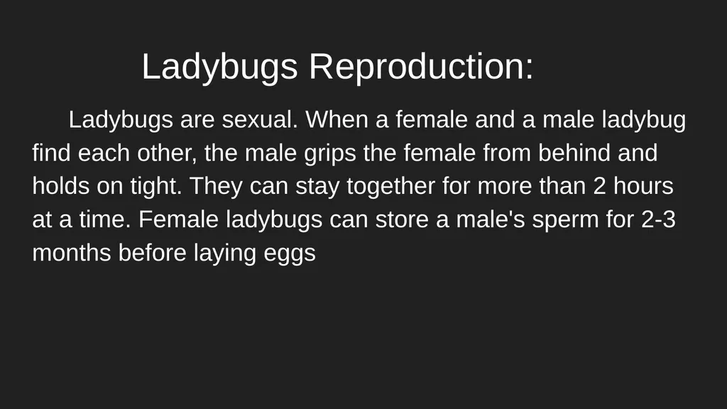 Ladybugs & Squirrel Monkeys Ladybug Description: A - slide 3 of 6