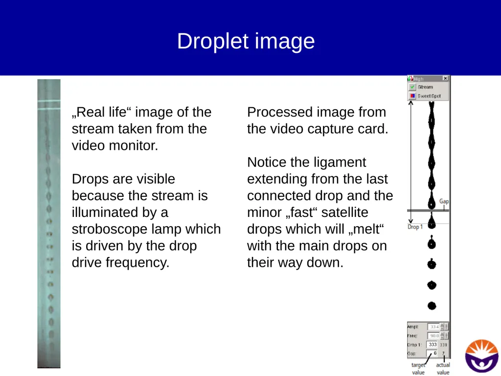 Setting up for sorting Prepare the instrument Sort - slide 4 of 34