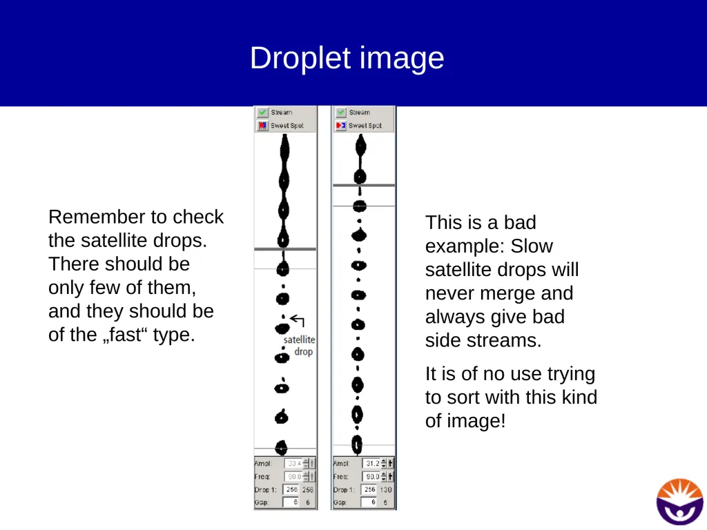 Setting up for sorting Prepare the instrument Sort - slide 5 of 34
