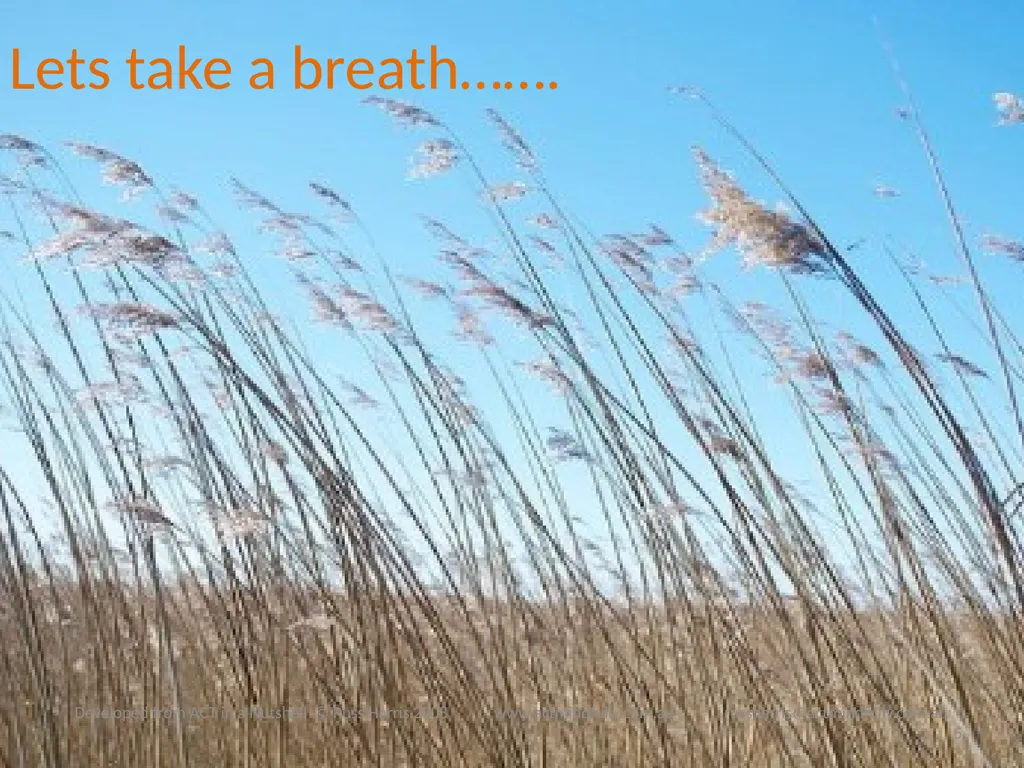 Workshop June 22, 2014 The ACT of Self - slide 5 of 90
