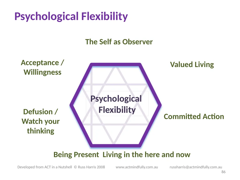 Workshop June 22, 2014 The ACT of Self - slide 86 of 90