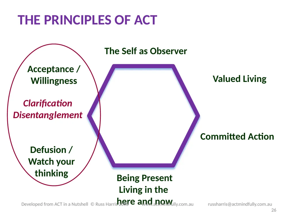 Workshop June 22, 2014 The ACT of Self - slide 26 of 90