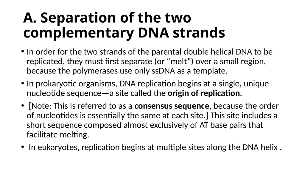 DNA Structure, Replication, and Repair in - slide 22 of 54