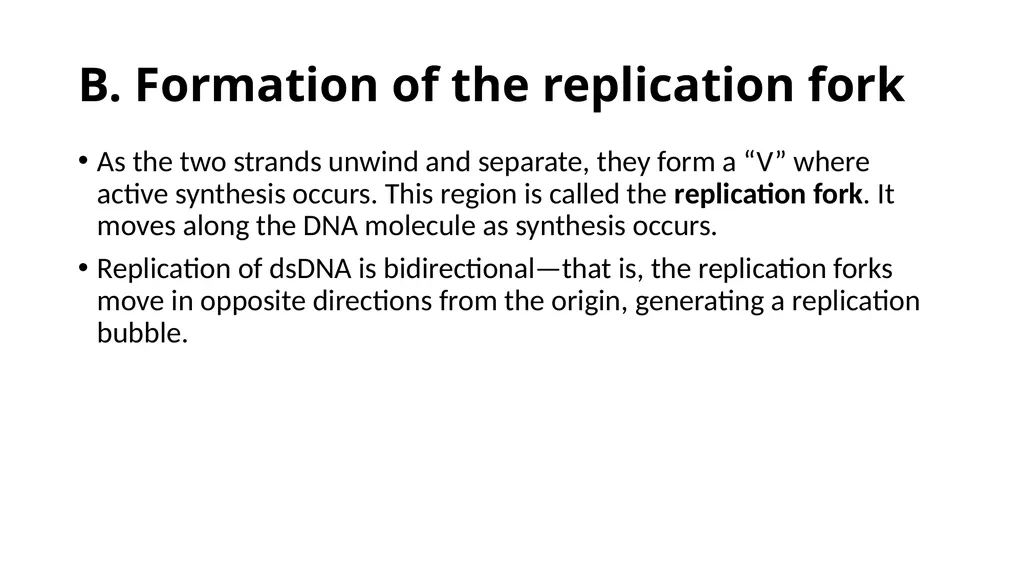 DNA Structure, Replication, and Repair in - slide 24 of 54