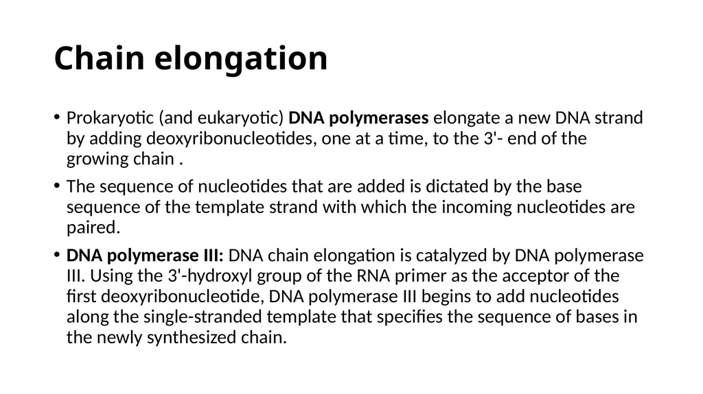 DNA Structure, Replication, and Repair in - slide 41 of 54
