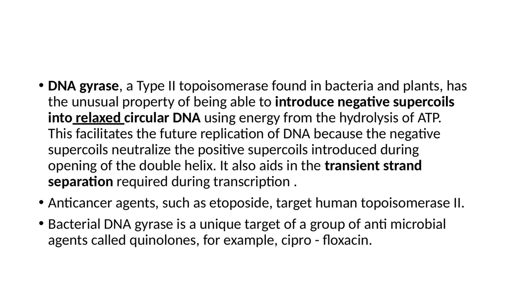 DNA Structure, Replication, and Repair in - slide 33 of 54