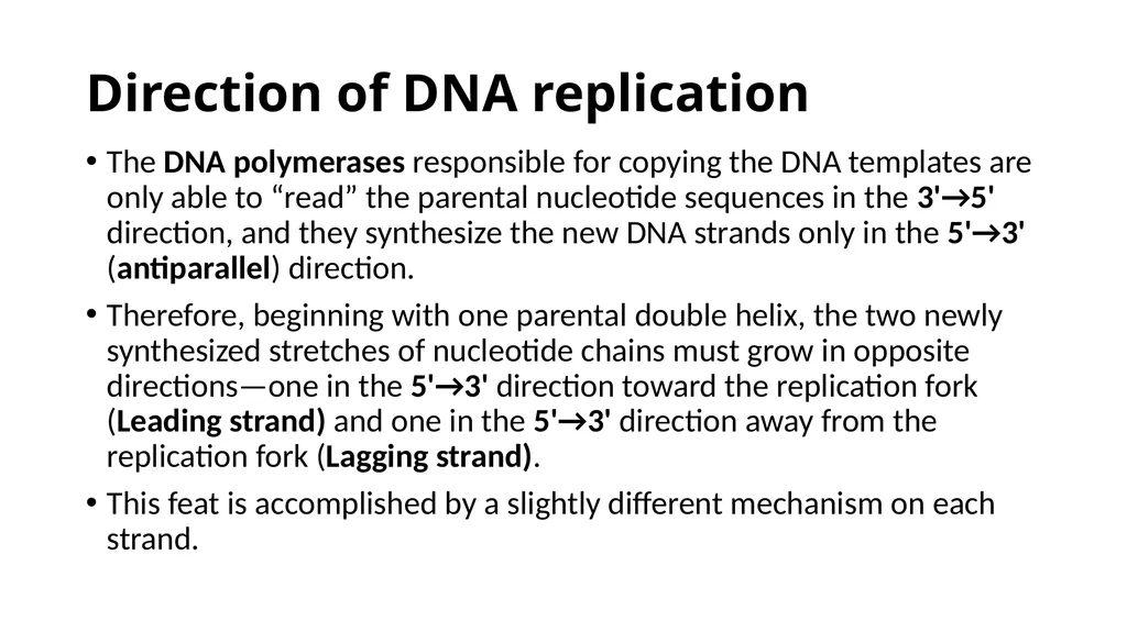 DNA Structure, Replication, and Repair in - slide 35 of 54
