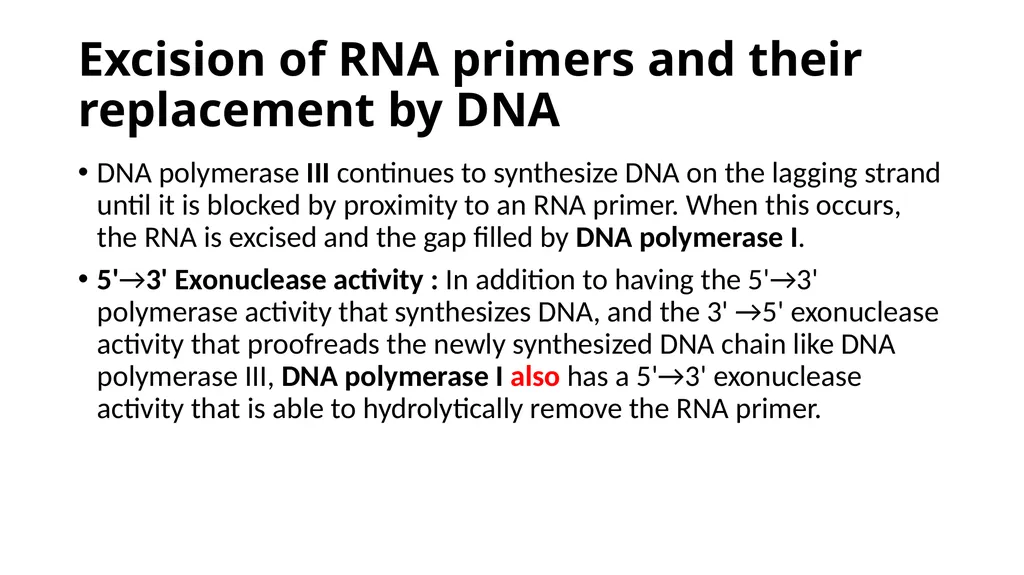DNA Structure, Replication, and Repair in - slide 48 of 54