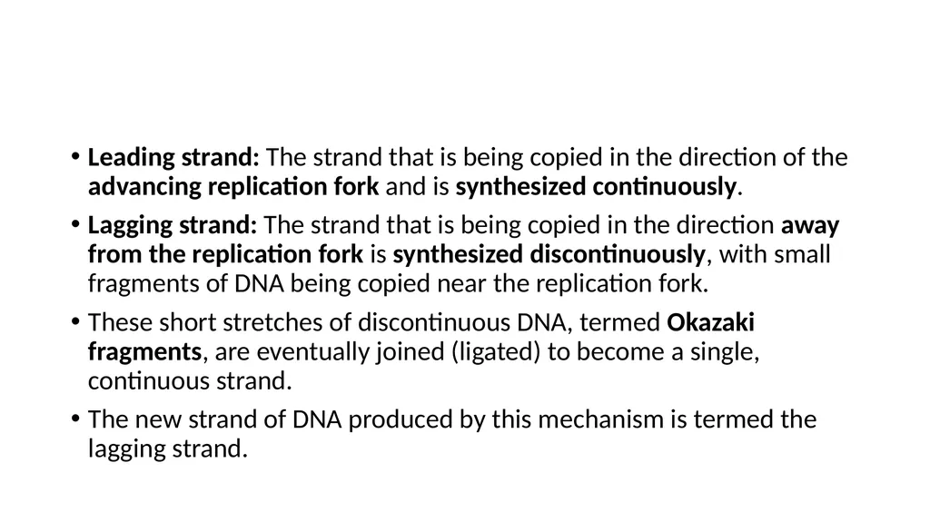 DNA Structure, Replication, and Repair in - slide 36 of 54