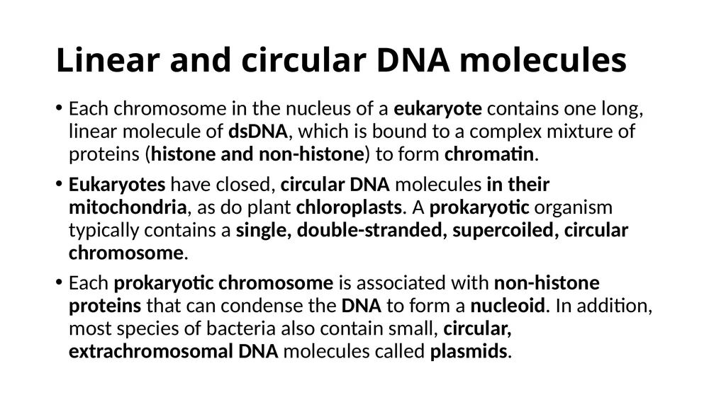 DNA Structure, Replication, and Repair in - slide 17 of 54