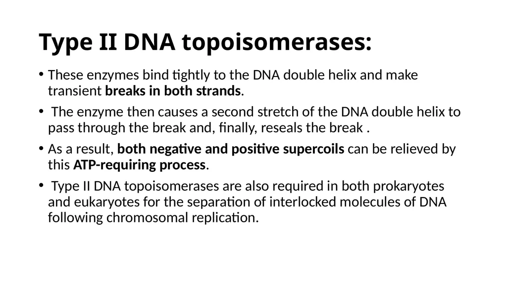 DNA Structure, Replication, and Repair in - slide 32 of 54