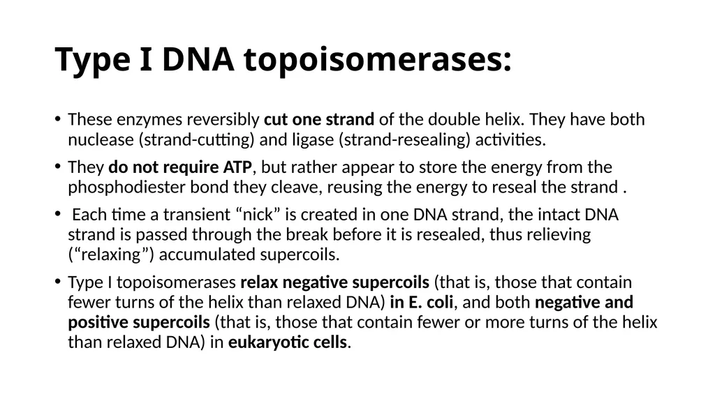 DNA Structure, Replication, and Repair in - slide 30 of 54