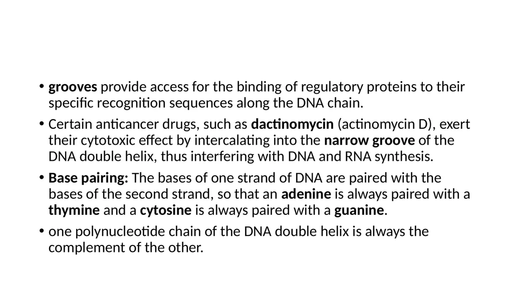 DNA Structure, Replication, and Repair in - slide 10 of 54
