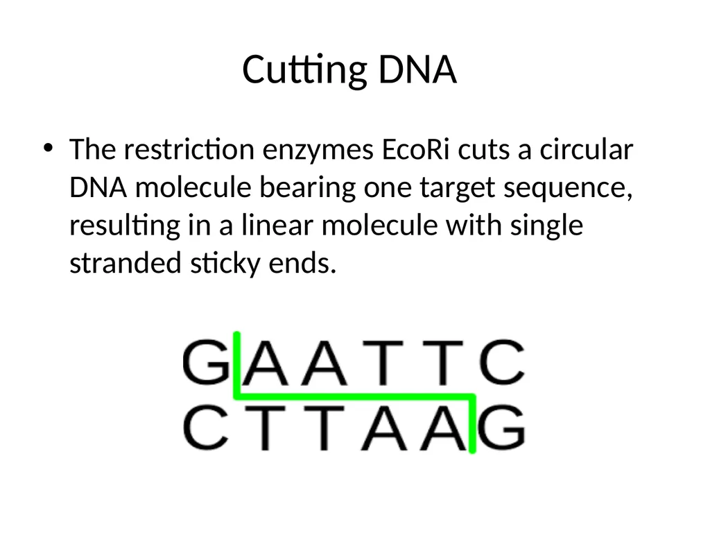 RECOMBINANT DNA Introduction Definition Steps - slide 12 of 26