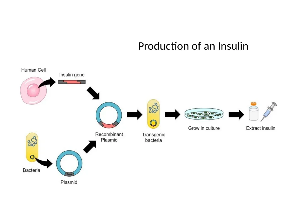 RECOMBINANT DNA Introduction Definition Steps - slide 23 of 26