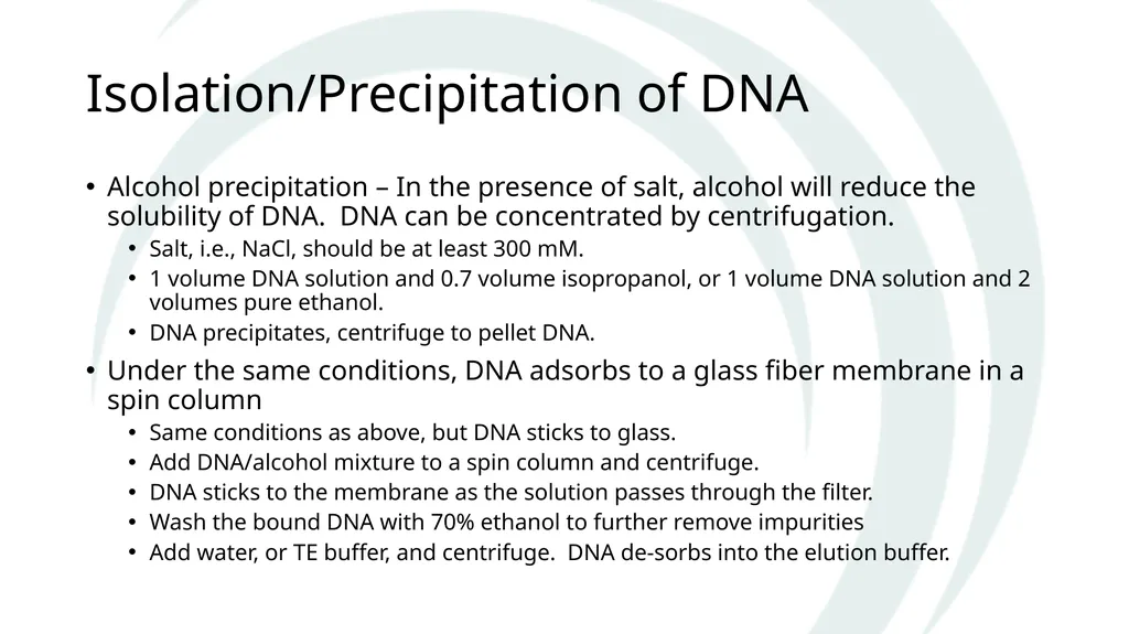 Isolation of DNA from Plants Why and How The Basic - slide 11 of 12