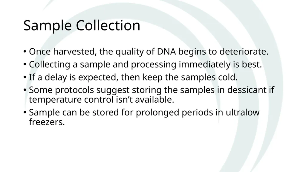 Isolation of DNA from Plants Why and How The Basic - slide 7 of 12