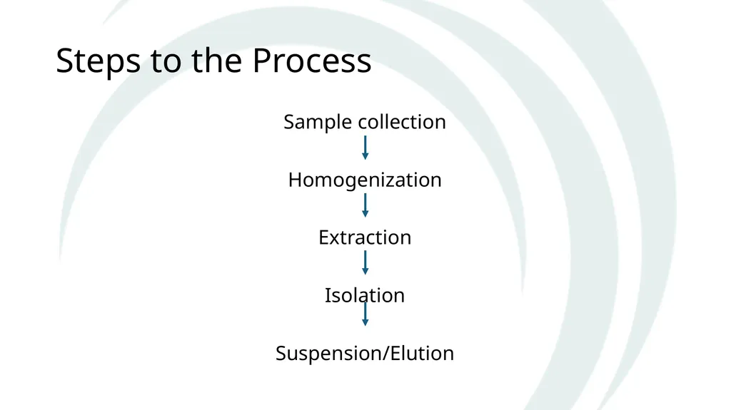 Isolation of DNA from Plants Why and How The Basic - slide 6 of 12