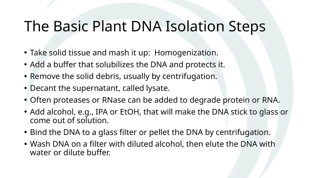 Isolation of DNA from Plants Why and How The Basic - slide 2 of 12