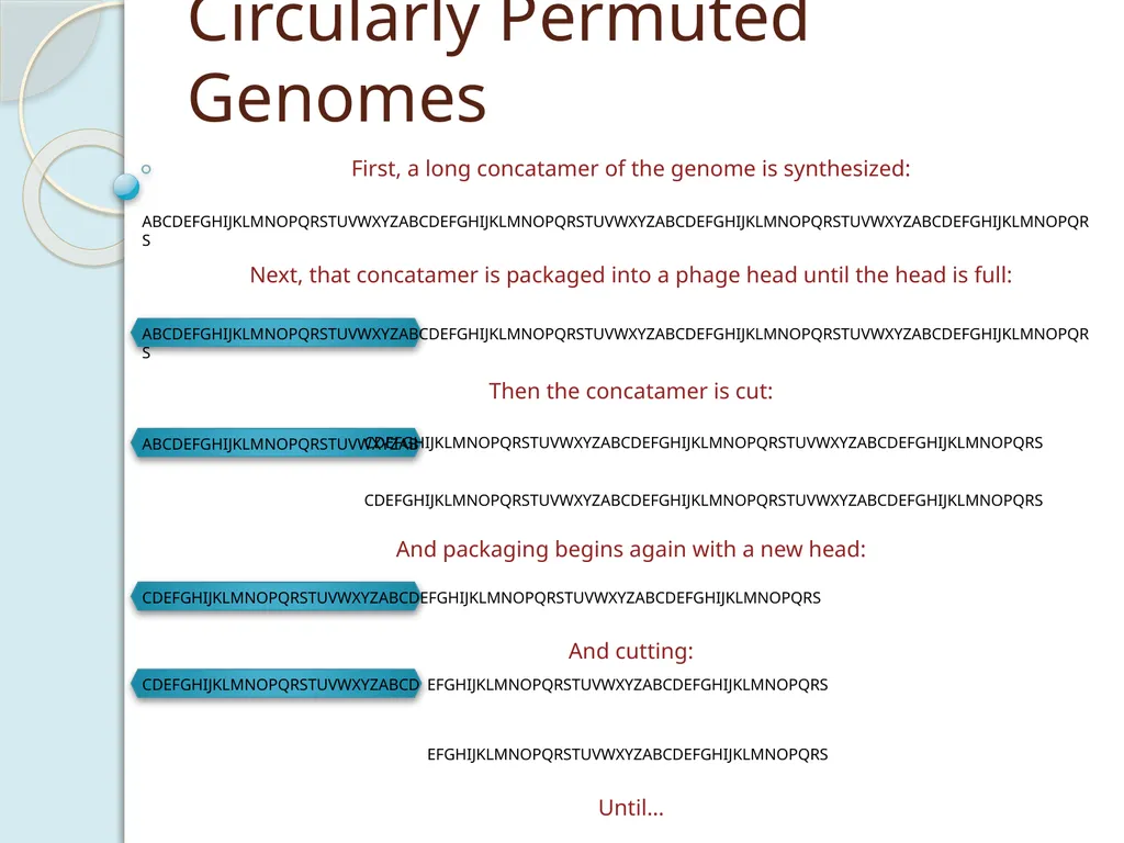 Finishing Phage Genomes How to identify circularly - slide 3 of 28