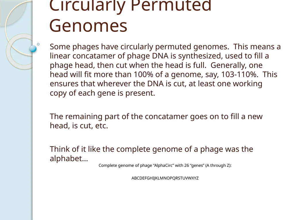 Finishing Phage Genomes How to identify circularly - slide 2 of 28