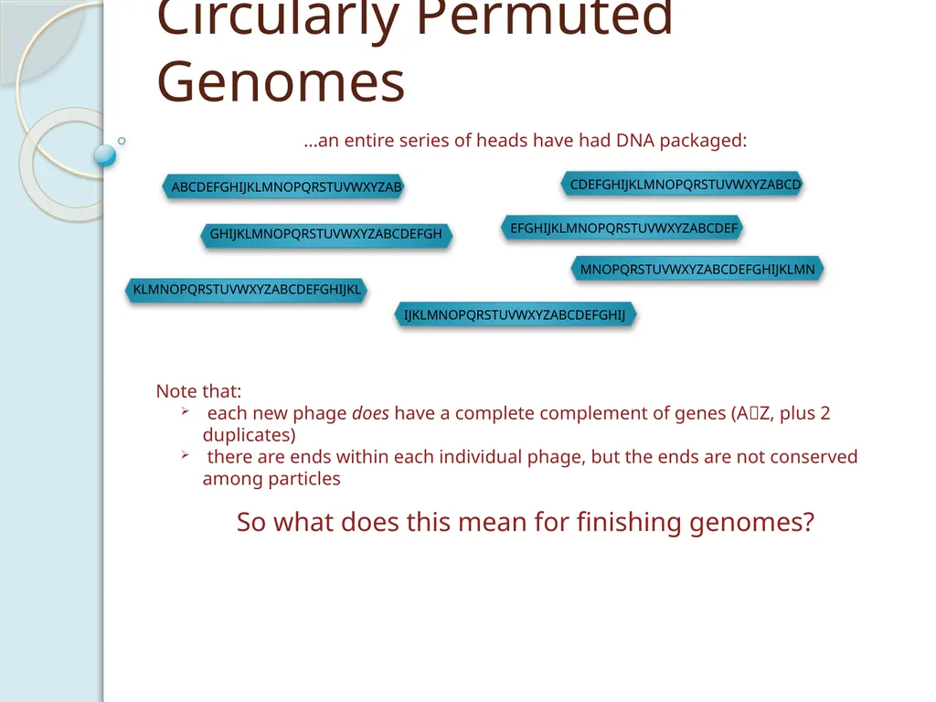 Finishing Phage Genomes How to identify circularly - slide 4 of 28