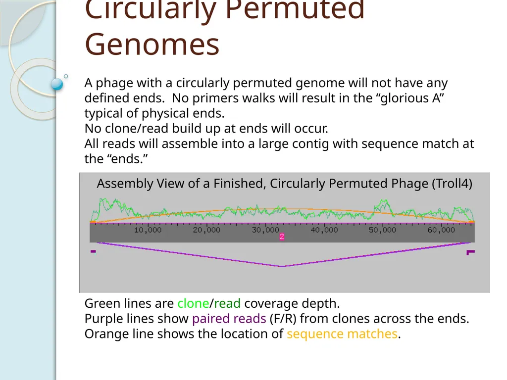 Finishing Phage Genomes How to identify circularly - slide 5 of 28